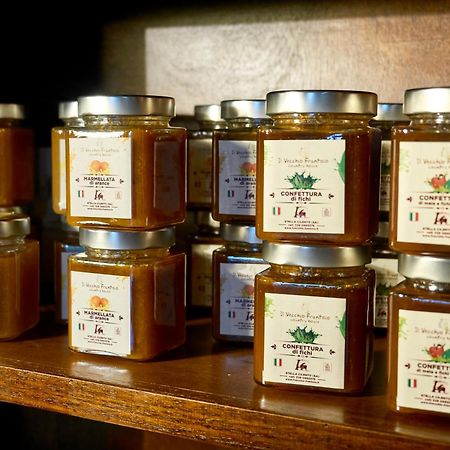 Il Vecchio Frantoio Villa Stella Cilento Eksteriør bilde