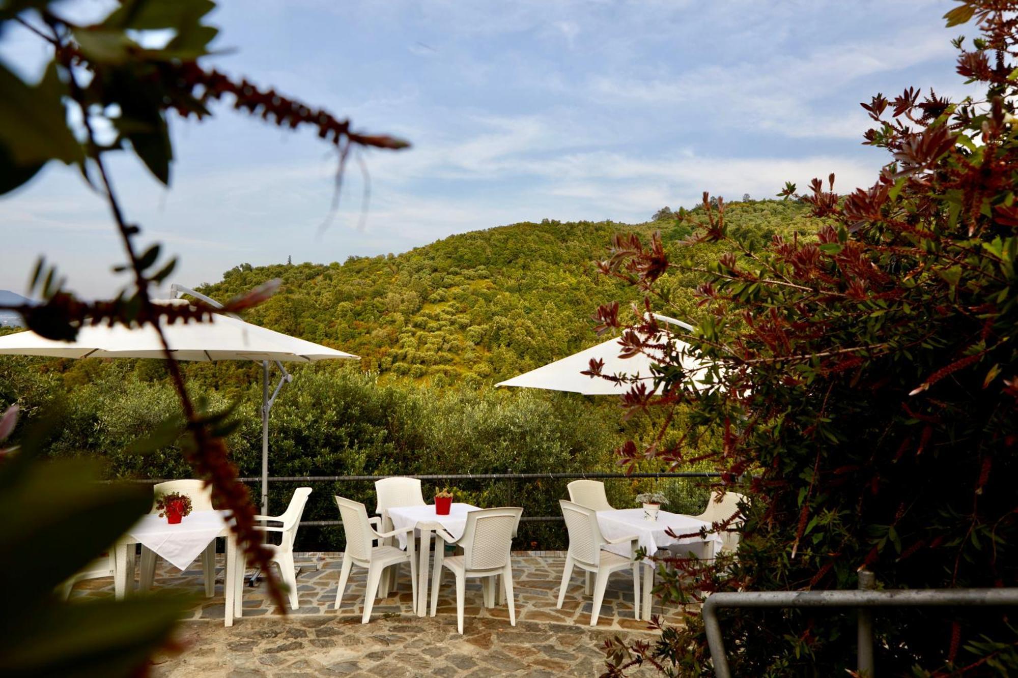 Il Vecchio Frantoio Villa Stella Cilento Eksteriør bilde