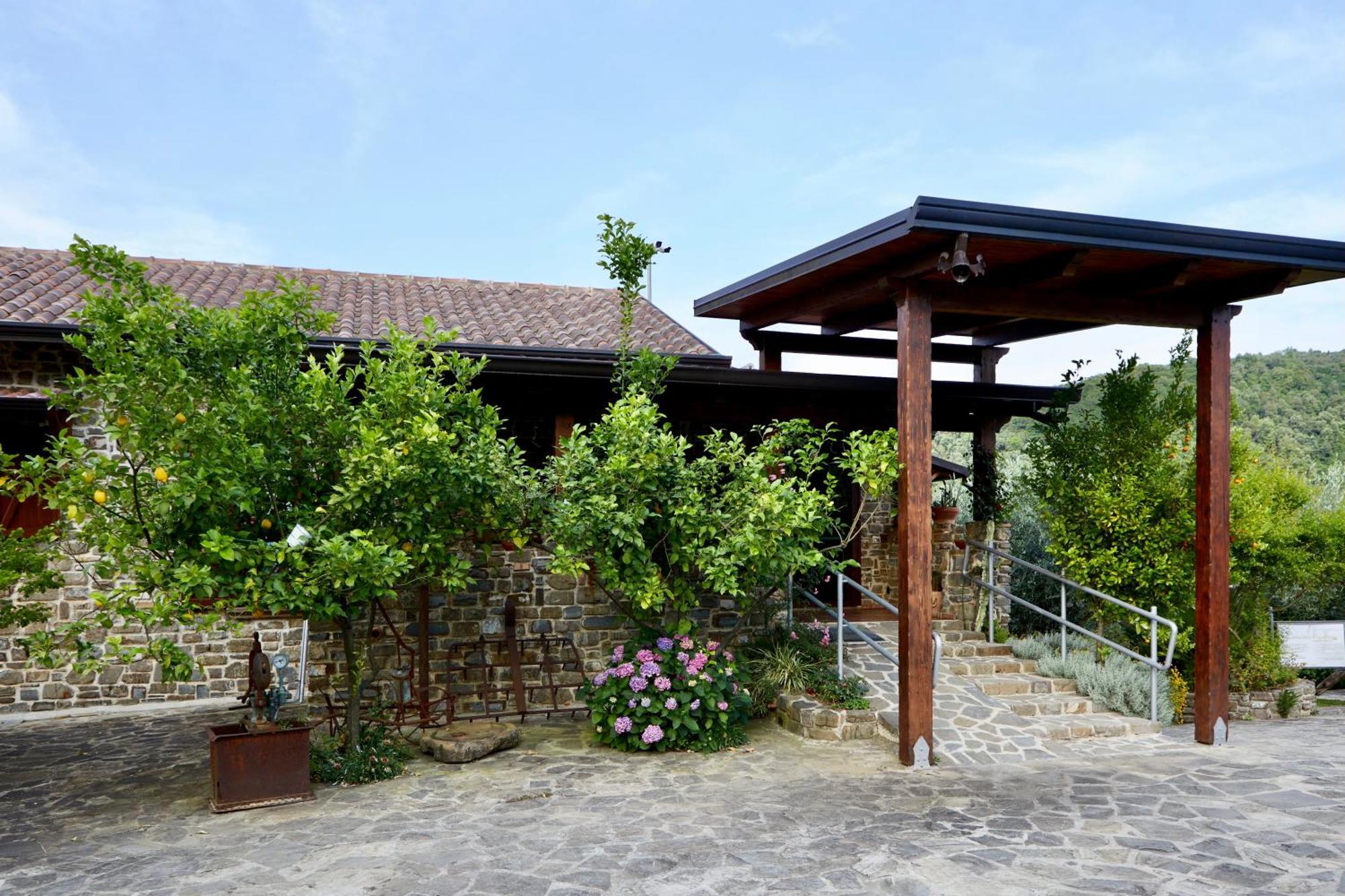Il Vecchio Frantoio Villa Stella Cilento Eksteriør bilde