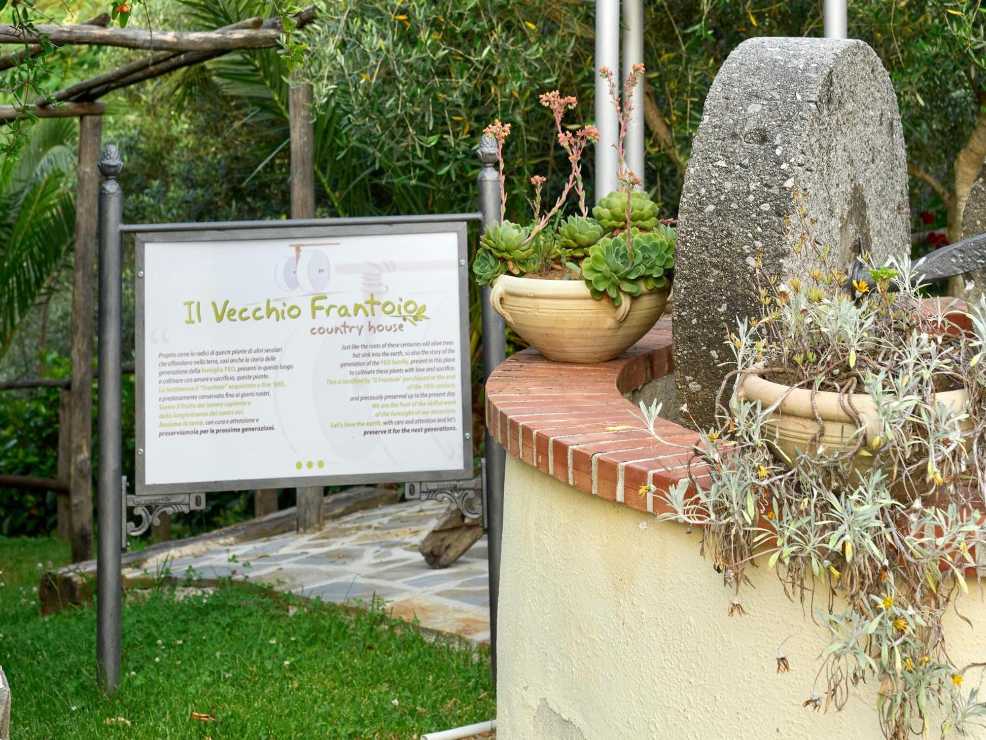 Il Vecchio Frantoio Villa Stella Cilento Eksteriør bilde