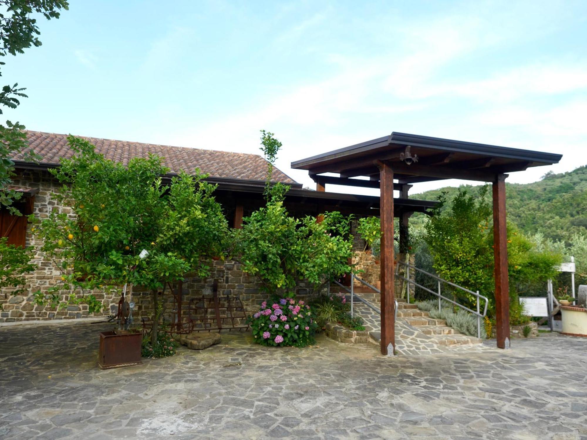 Il Vecchio Frantoio Villa Stella Cilento Eksteriør bilde