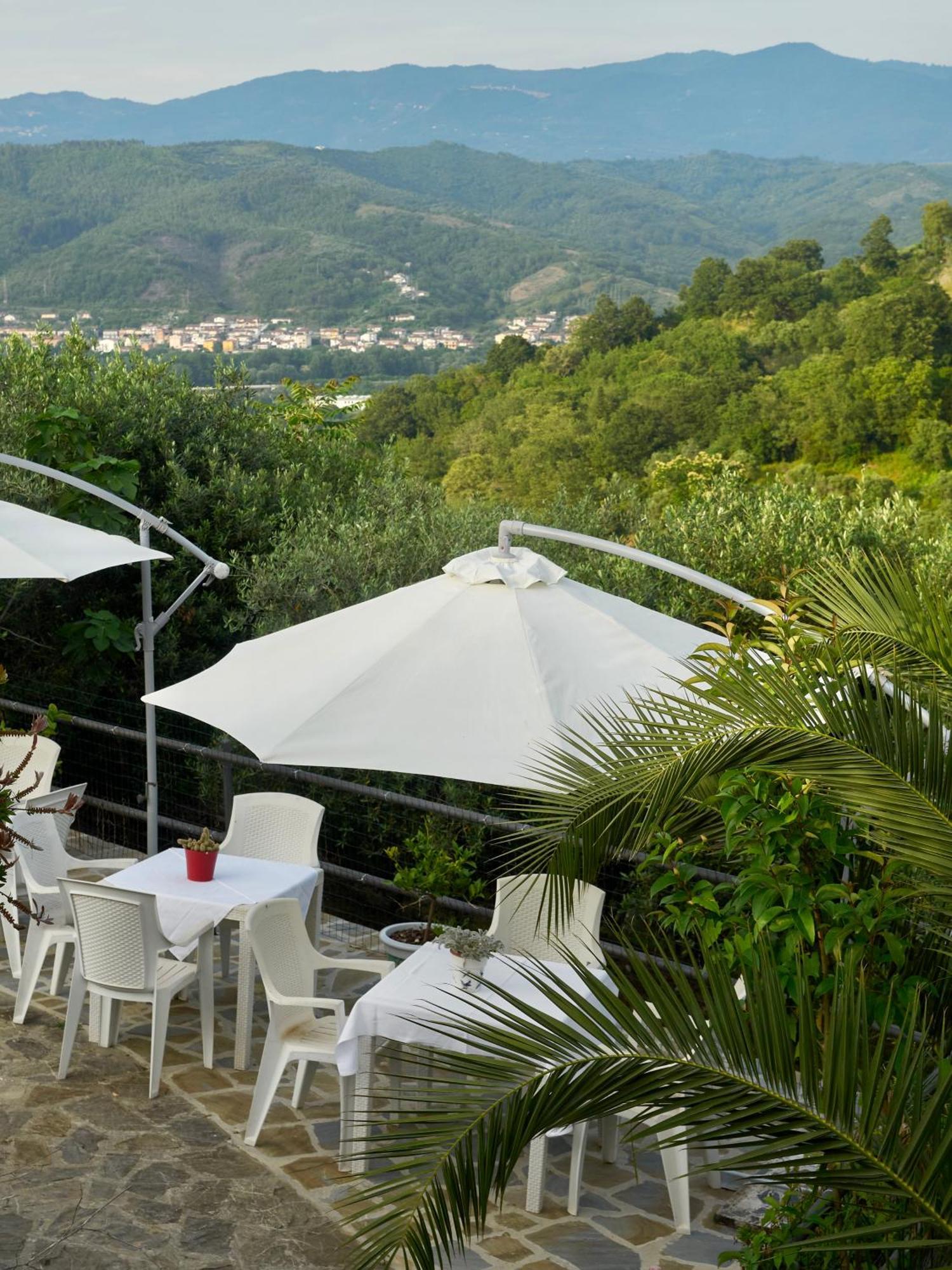 Il Vecchio Frantoio Villa Stella Cilento Eksteriør bilde