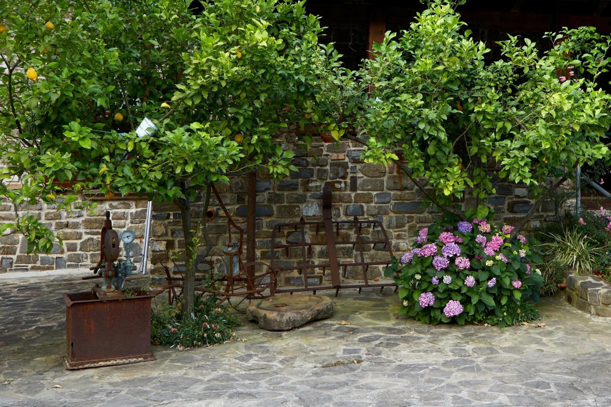 Il Vecchio Frantoio Villa Stella Cilento Eksteriør bilde
